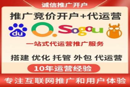 成功SEM服务案例分析报告